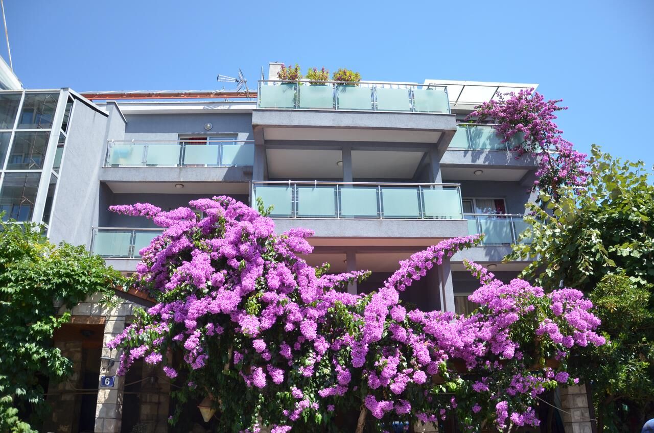 Отель Hotel Salute Budva Будва-7