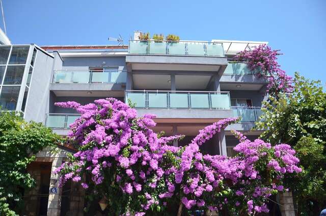 Отель Hotel Salute Budva Будва-6